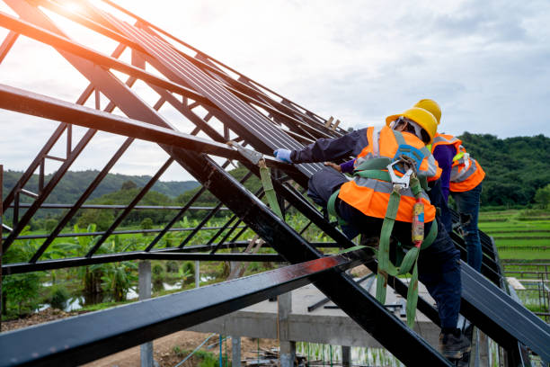 Professional Roofing Contractor in West Wood, UT