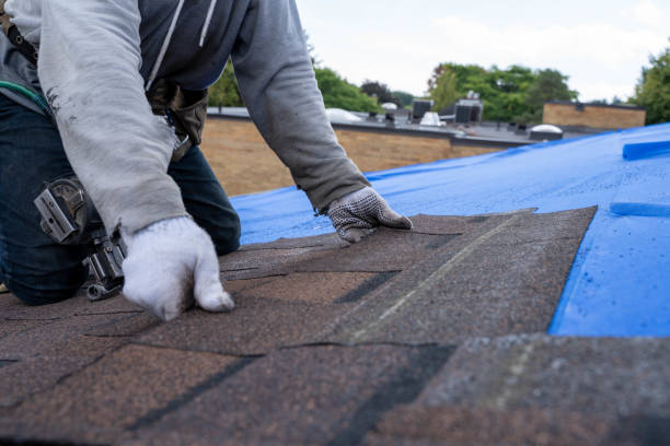 Quick and Trustworthy Emergency Roof Repair Services in West Wood, UT