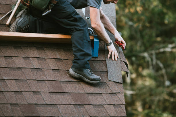 Best Roof Gutter Cleaning  in West Wood, UT